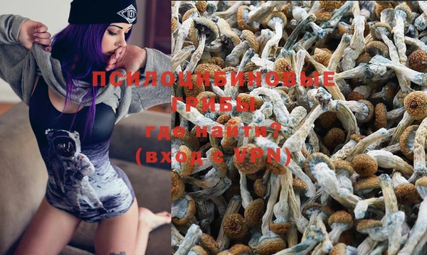 ALPHA PVP Арсеньев
