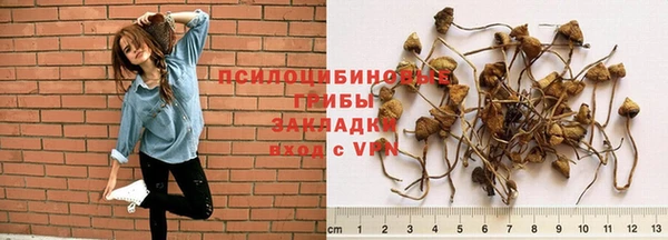 mdpv Армянск
