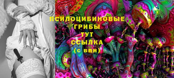 2c-b Аркадак