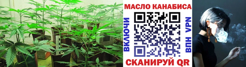 закладка  Медынь  Дистиллят ТГК гашишное масло 